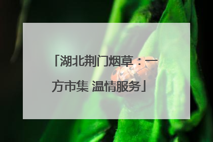 湖北荆门烟草：一方市集 温情服务