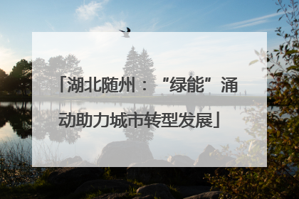 湖北随州：“绿能”涌动助力城市转型发展