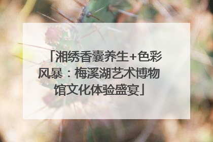 湘绣香囊养生+色彩风暴：梅溪湖艺术博物馆文化体验盛宴