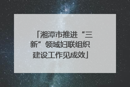 湘潭市推进“三新”领域妇联组织建设工作见成效