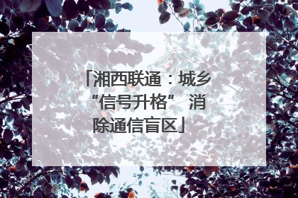 湘西联通：城乡“信号升格” 消除通信盲区
