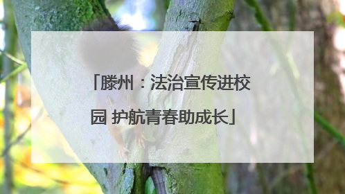滕州：法治宣传进校园 护航青春助成长