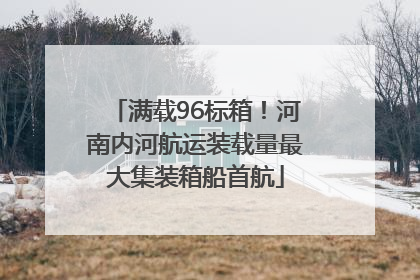 满载96标箱！河南内河航运装载量最大集装箱船首航