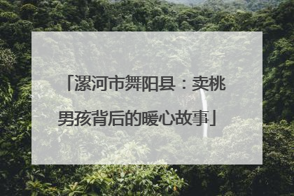 漯河市舞阳县：卖桃男孩背后的暖心故事