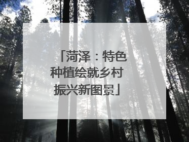 菏泽：特色种植绘就乡村振兴新图景