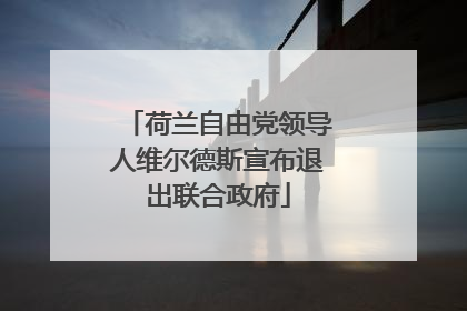 荷兰自由党领导人维尔德斯宣布退出联合政府