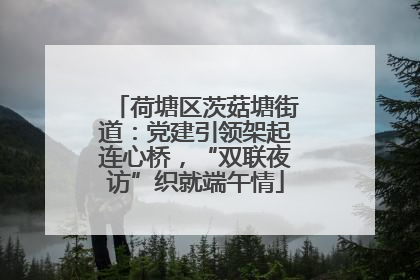 荷塘区茨菇塘街道：党建引领架起连心桥，“双联夜访”织就端午情