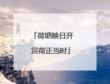 荷塘映日开 赏荷正当时