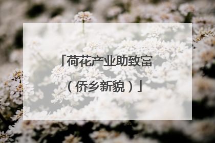 荷花产业助致富（侨乡新貌）