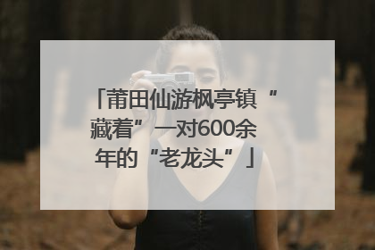 莆田仙游枫亭镇“藏着”一对600余年的“老龙头”