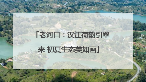 老河口：汉江荷韵引翠来 初夏生态美如画