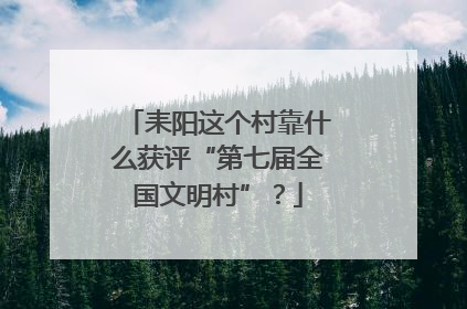 耒阳这个村靠什么获评“第七届全国文明村”？