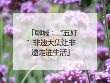 聊城：“五好”非遗大集让非遗走进生活