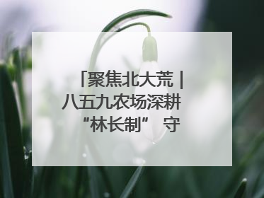 聚焦北大荒｜八五九农场深耕“林长制” 守护“生态绿”