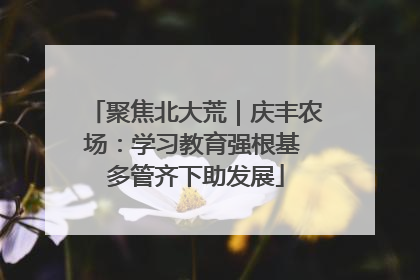 聚焦北大荒｜庆丰农场：学习教育强根基 多管齐下助发展