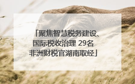 聚焦智慧税务建设、国际税收治理 29名非洲财税官湖南取经
