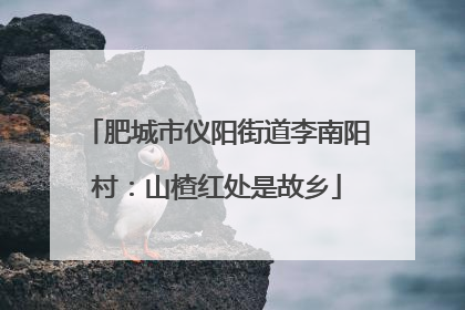 肥城市仪阳街道李南阳村：山楂红处是故乡