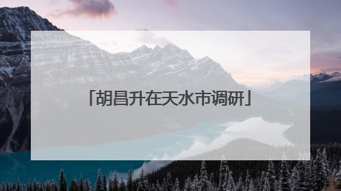 胡昌升在天水市调研