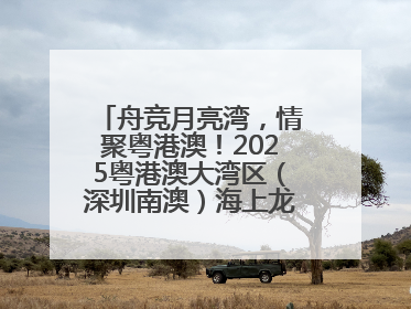 舟竞月亮湾，情聚粤港澳！2025粤港澳大湾区（深圳南澳）海上龙舟赛正式开赛！_深圳新闻网