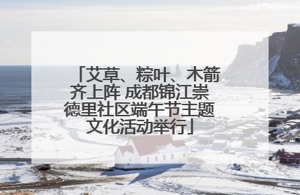 艾草、粽叶、木箭齐上阵 成都锦江崇德里社区端午节主题文化活动举行