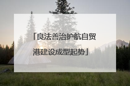良法善治护航自贸港建设成型起势