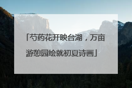 芍药花开映台湖，万亩游憩园绘就初夏诗画