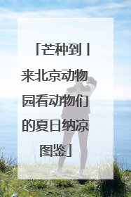 芒种到丨来北京动物园看动物们的夏日纳凉图鉴