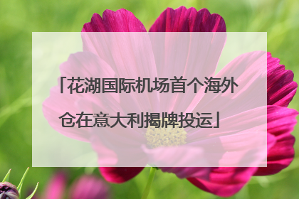 花湖国际机场首个海外仓在意大利揭牌投运