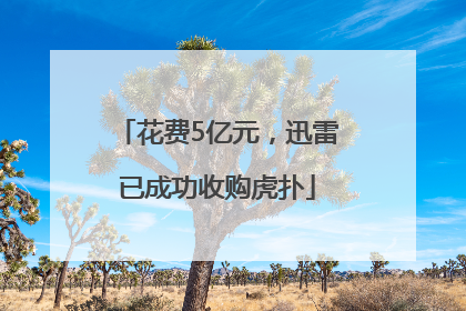 花费5亿元，迅雷已成功收购虎扑