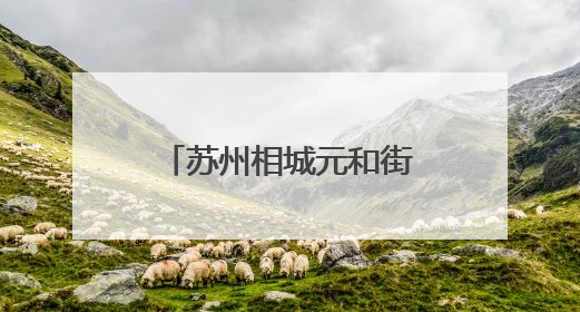 苏州相城元和街道举办“守住钱袋子 护好幸福家”主题宣传活动