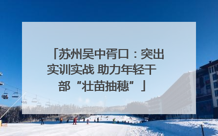苏州吴中胥口：突出实训实战 助力年轻干部“壮苗抽穗”
