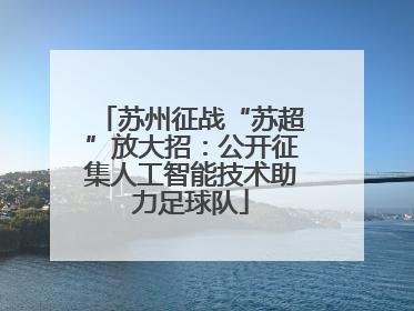苏州征战“苏超”放大招：公开征集人工智能技术助力足球队