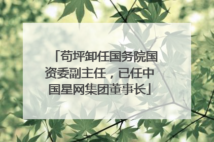苟坪卸任国务院国资委副主任，已任中国星网集团董事长