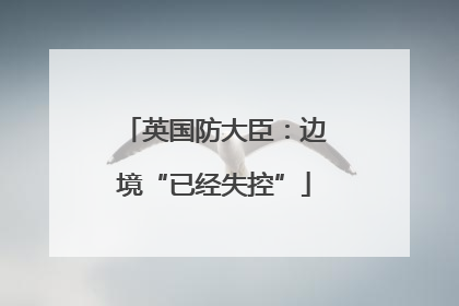 英国防大臣：边境“已经失控”