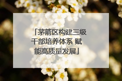 茅箭区构建三级干部培养体系 赋能高质量发展