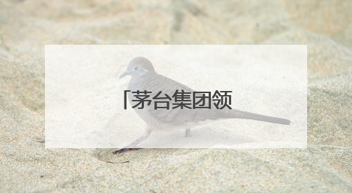茅台集团领导层有调整