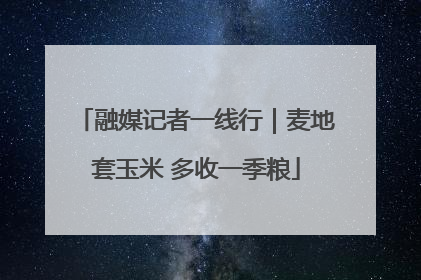融媒记者一线行｜麦地套玉米 多收一季粮