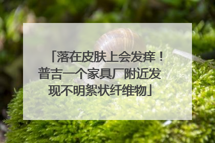 落在皮肤上会发痒！普吉一个家具厂附近发现不明絮状纤维物