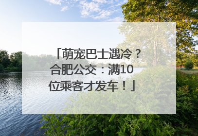萌宠巴士遇冷？合肥公交：满10位乘客才发车！