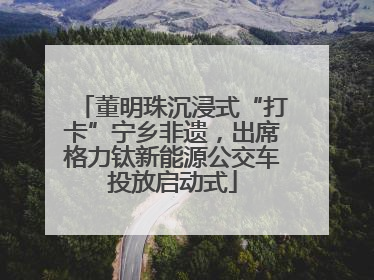 董明珠沉浸式“打卡”宁乡非遗，出席格力钛新能源公交车投放启动式