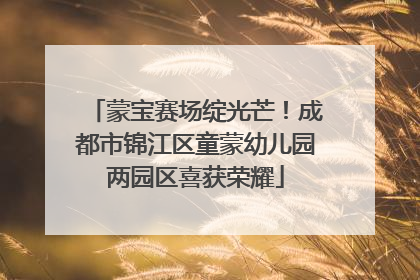 蒙宝赛场绽光芒！成都市锦江区童蒙幼儿园两园区喜获荣耀