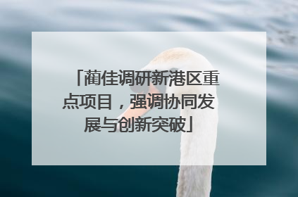 蔺佳调研新港区重点项目，强调协同发展与创新突破