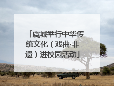 虞城举行中华传统文化（戏曲·非遗）进校园活动