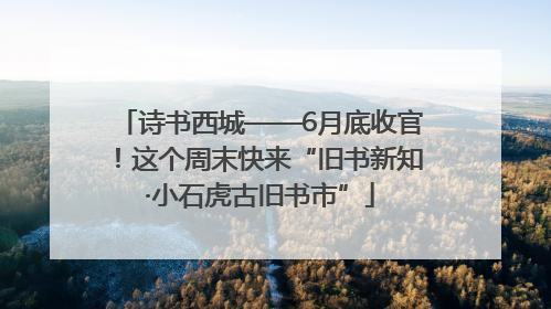 诗书西城——6月底收官！这个周末快来“旧书新知·小石虎古旧书市”