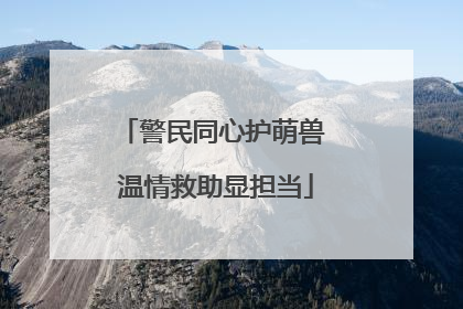 警民同心护萌兽 温情救助显担当