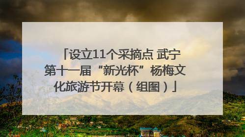 设立11个采摘点 武宁第十一届“新光杯”杨梅文化旅游节开幕（组图）