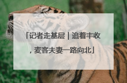 记者走基层｜追着丰收，麦客夫妻一路向北