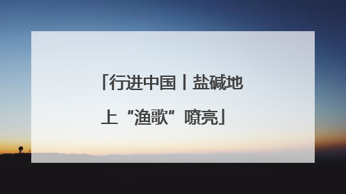 行进中国丨盐碱地上“渔歌”嘹亮