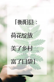 衡阳县：荷花绽放 美了乡村 富了口袋