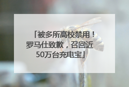 被多所高校禁用！罗马仕致歉，召回近50万台充电宝